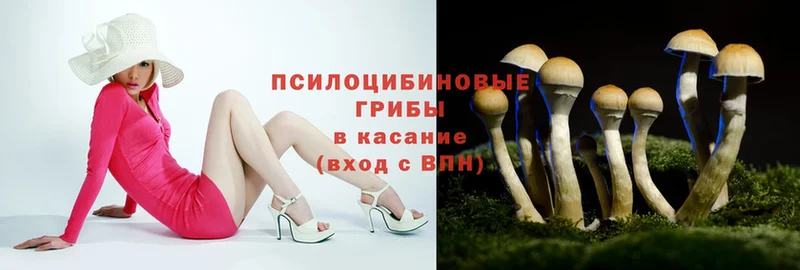 Галлюциногенные грибы MAGIC MUSHROOMS  купить  сайты  Биробиджан 